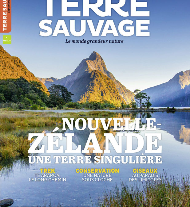 Terre Sauvage numéro 392 – Rubrique Force du Vivant