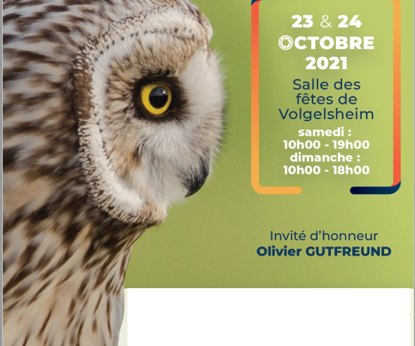 Exposition Festival Prenons la Pause