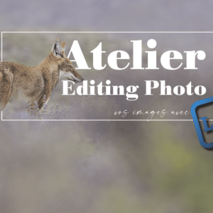 Atelier Editing Photo