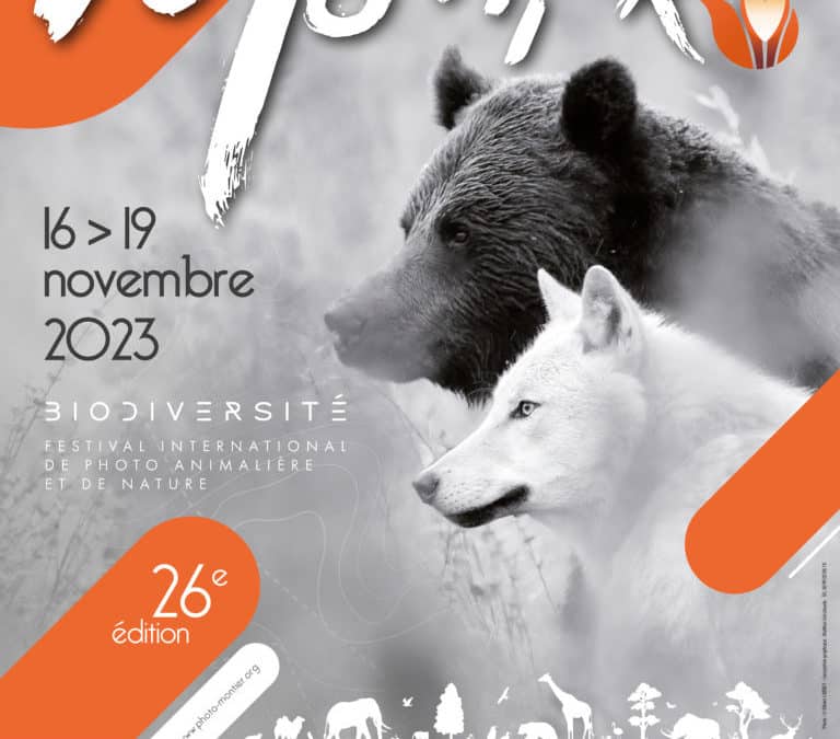 Montier Festival Photo